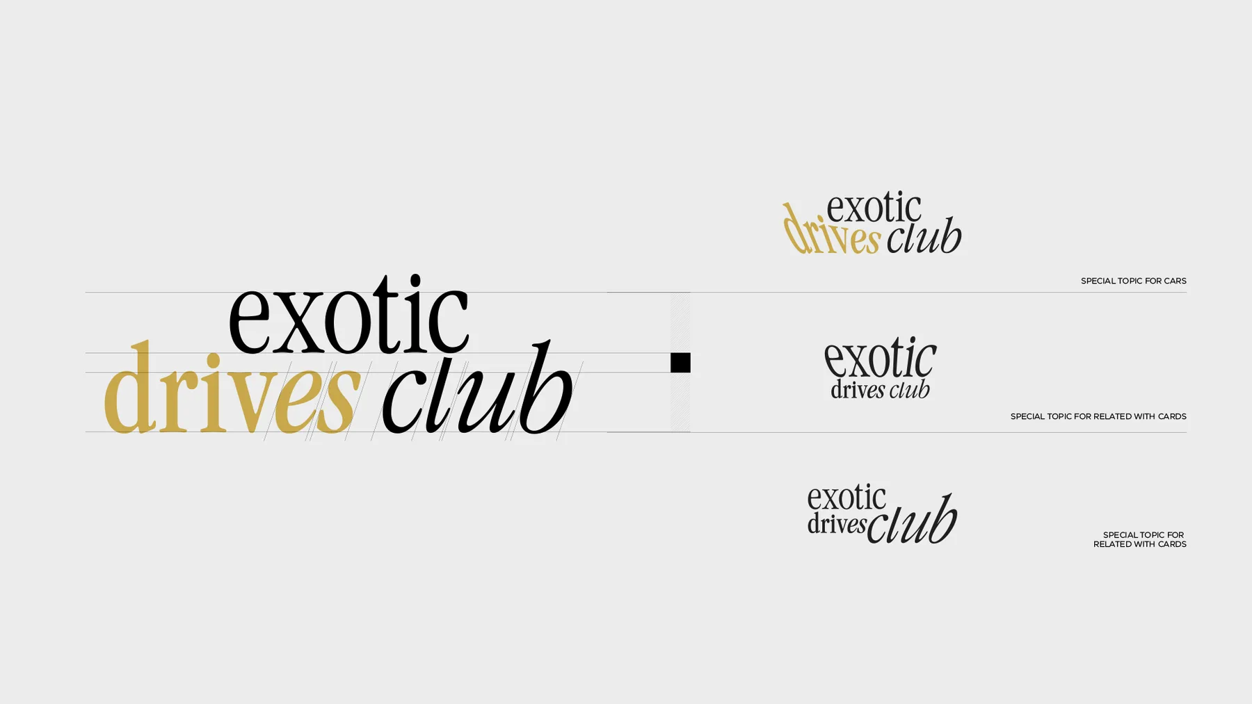 exotic drivers club — brand application 1