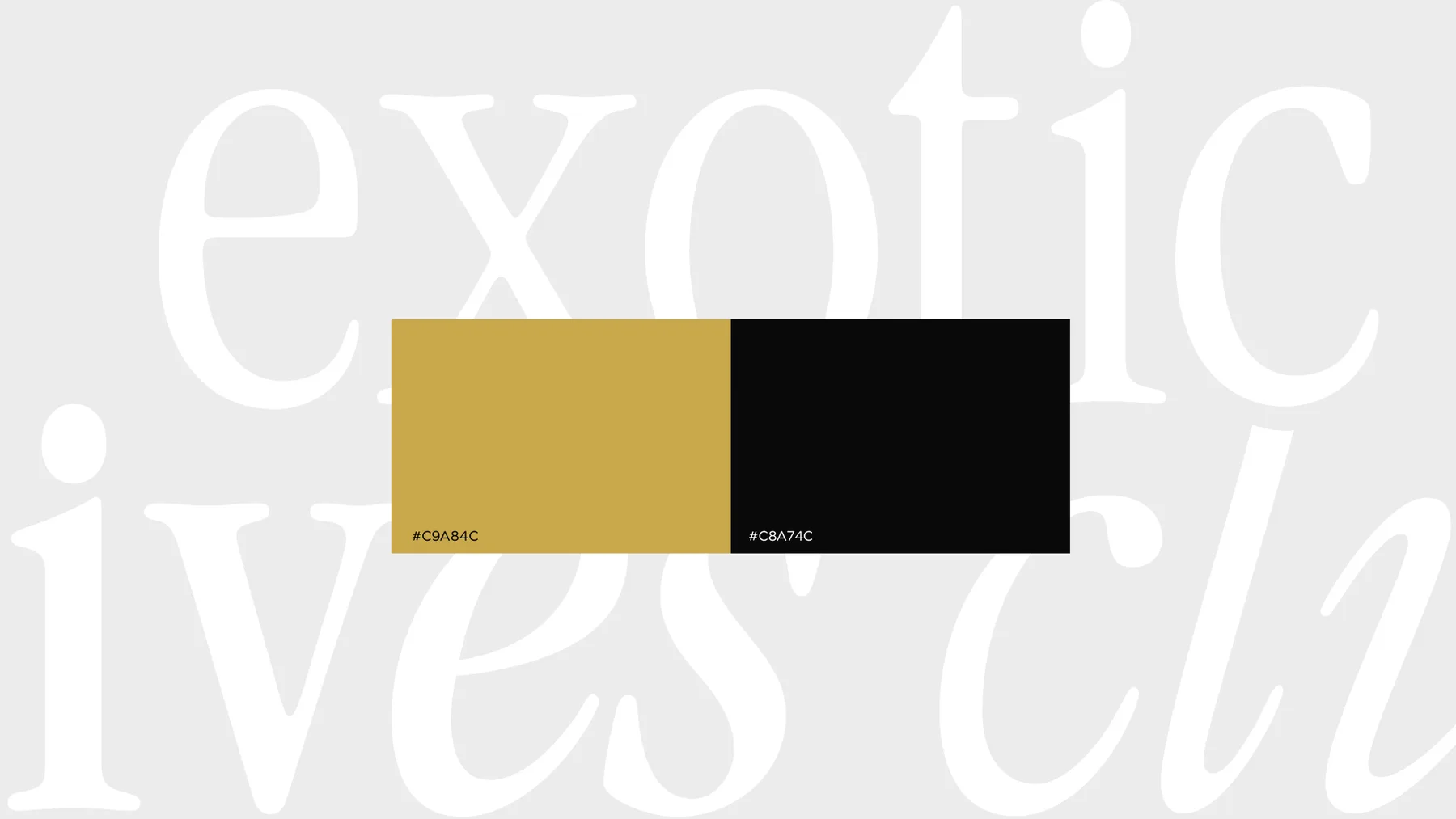 exotic drivers club — brand application 2